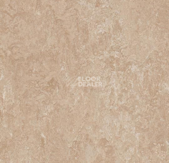 Линолеум Forbo Marmoleum Marbled Real 3141 Himalaya фото 1 | FLOORDEALER